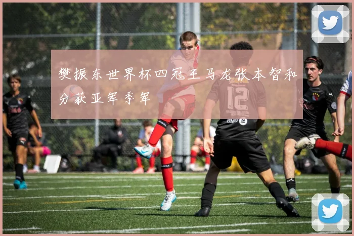 樊振东世界杯四冠王马龙张本智和分获亚军季军