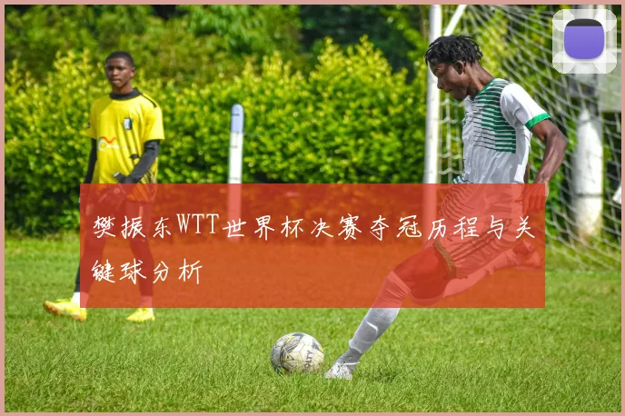 樊振东WTT世界杯决赛夺冠历程与关键球分析