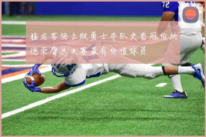 猛龙客场击败勇士夺队史首冠伦纳德荣膺总决赛最有价值球员