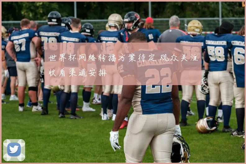 世界杯网络转播方案待定 观众关注收看渠道安排