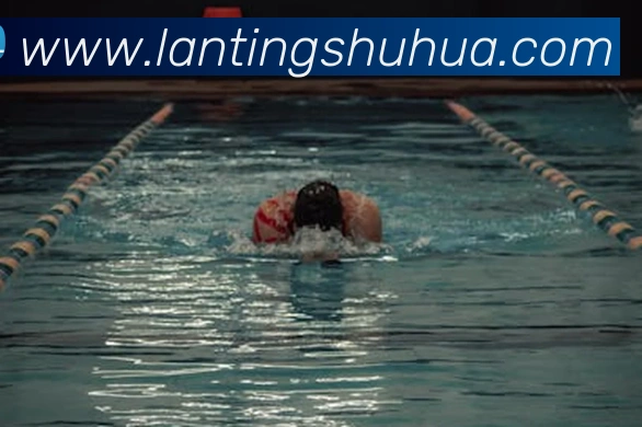 乐竞体育官方官网平台生态图